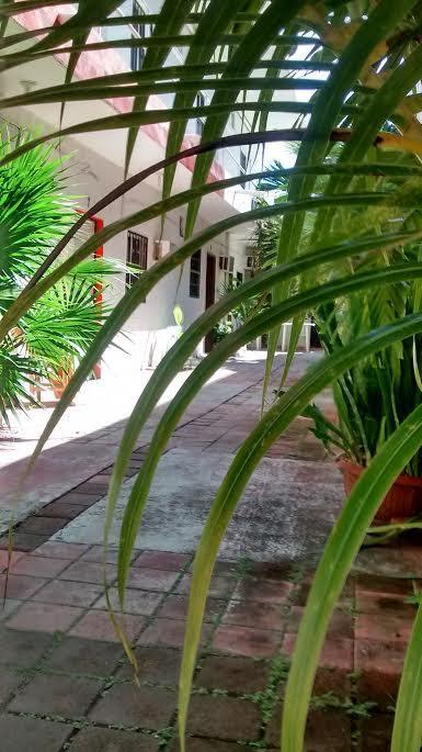 Olmeca Habitación en casa particular Playa del Carmen